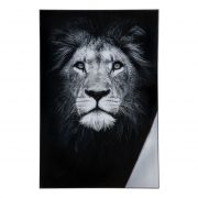 Lion Picture Acrylic Wall Art In Black And White - MySmallSpace UK